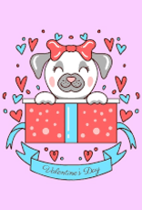 Pet Central Seasonal Treat Boxes