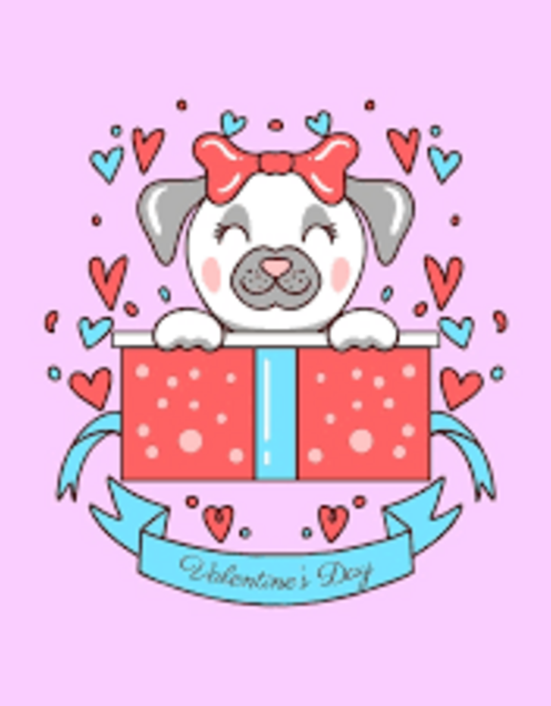 Pet Central Seasonal Treat Boxes