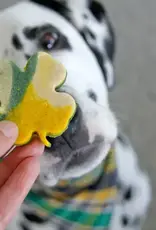 Pet Central Seasonal Treat Boxes