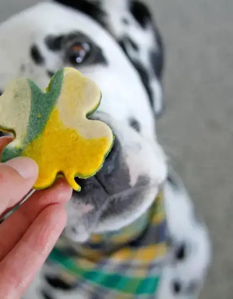 Pet Central Seasonal Treat Boxes