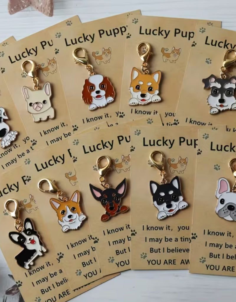 Temu Cartoon Dog Keychains - Assorted Breeds & Colours 1pc.