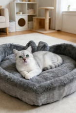 Temu Cozy Heart Shaped Cat Bed - Medium