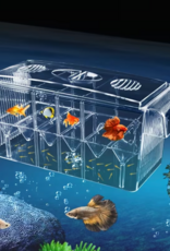 Marina Mini Breeding Box