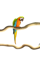 Temu Wooden Perch - Large 1pc