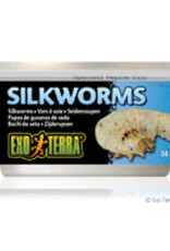 Exo Terra Exo Terra Silkworms (Pupea) - 34 g (1.2 oz)