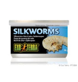 Exo Terra Exo Terra Canned Silkworms (Pupea) - 34 g (1.2 oz)