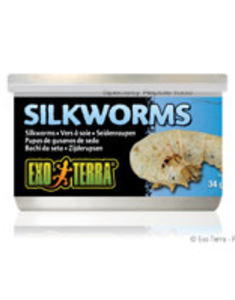 Exo Terra Exo Terra Canned Silkworms (Pupea) - 34 g (1.2 oz)