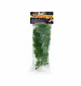Zoo Med Zoo Med Natural Bush Plants Borneo Star Medium