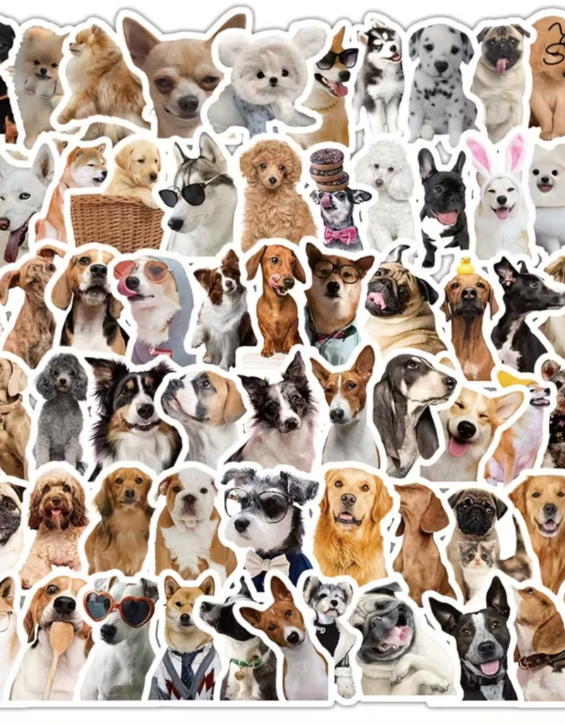 Temu Assorted Pet Stickers - 1pc.