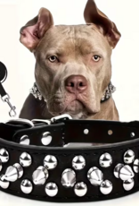 Temu Spiked Adjustable Dog Collar & Leash Set - Black - MD