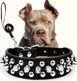 Temu Spiked Adjustable Dog Collar & Leash Set - Black - XL