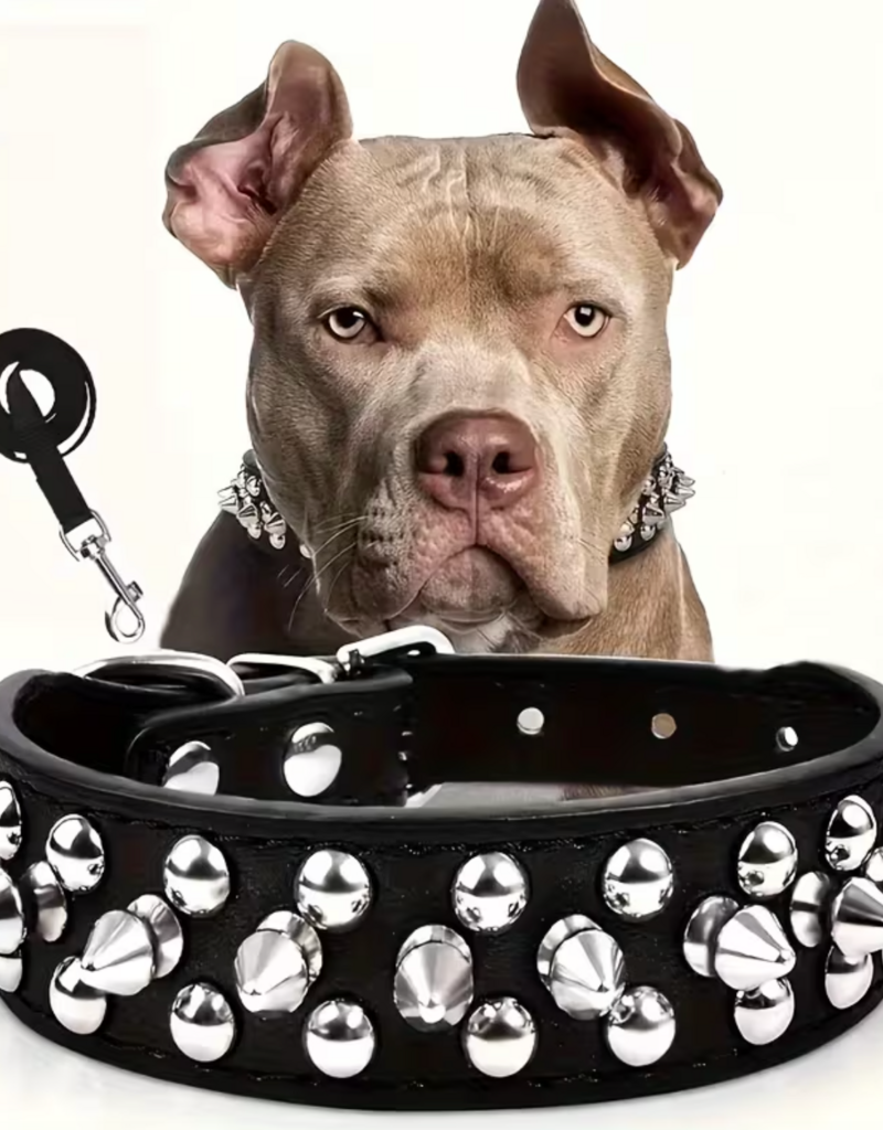 Temu Spiked Adjustable Dog Collar & Leash Set - Black - XXL