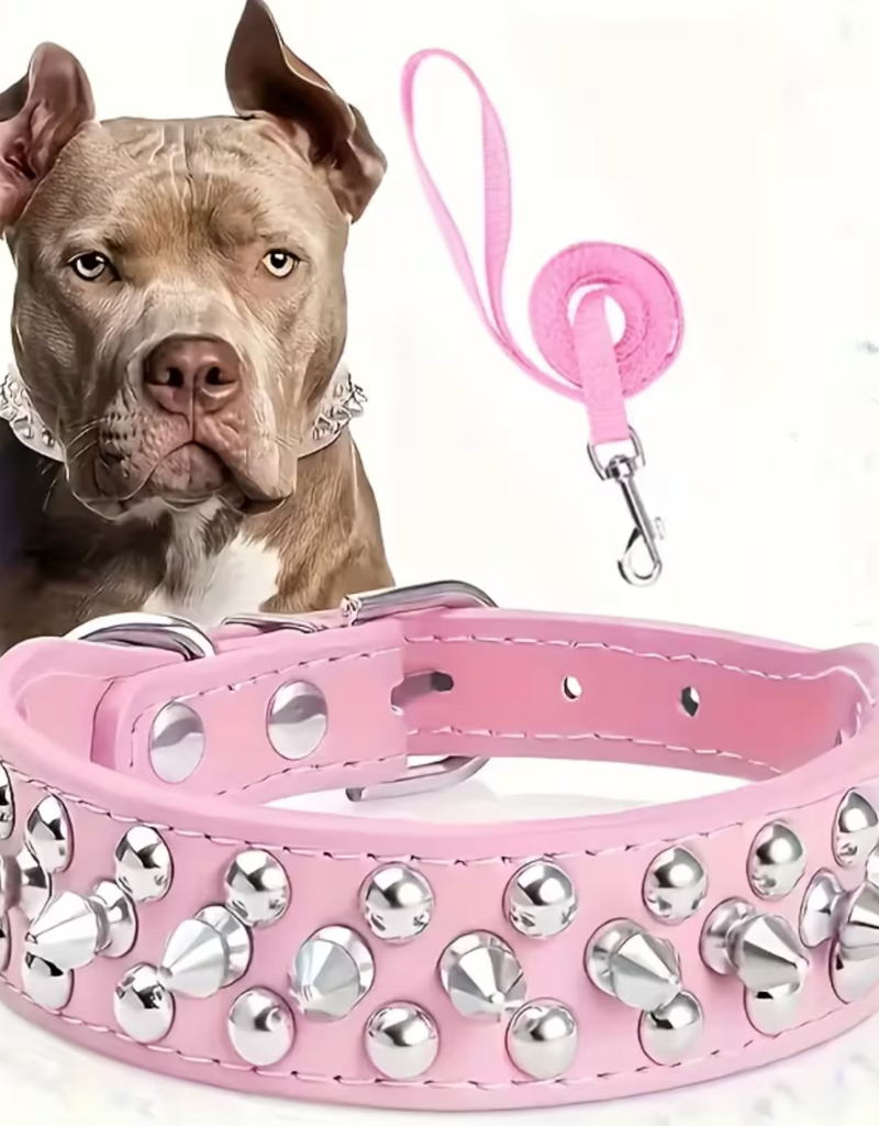 Temu Spiked Adjustable Dog Collar & Leash Set - Pink - XXL