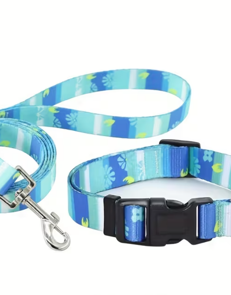 Temu Adjustable Dog Collar & Leash Set - Cyan Pattern - LG