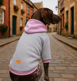 Temu Lemonage Basic Pet Hoodie - Grey - 3XL