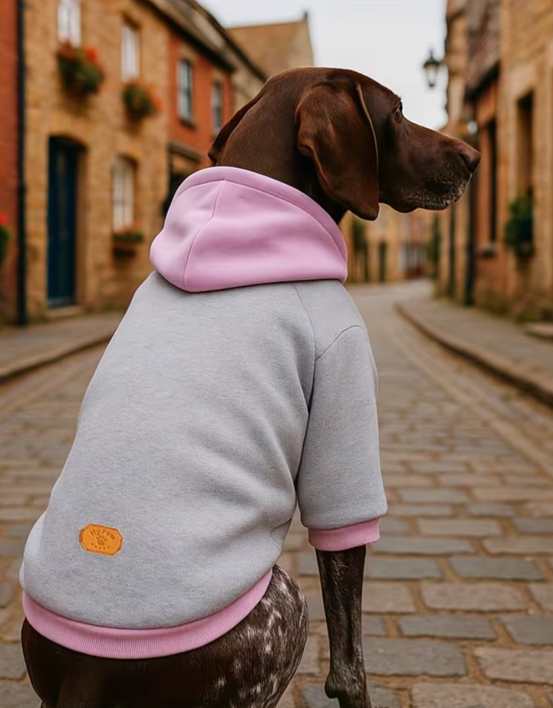 Temu Lemonage Basic Pet Hoodie - Grey - 3XL