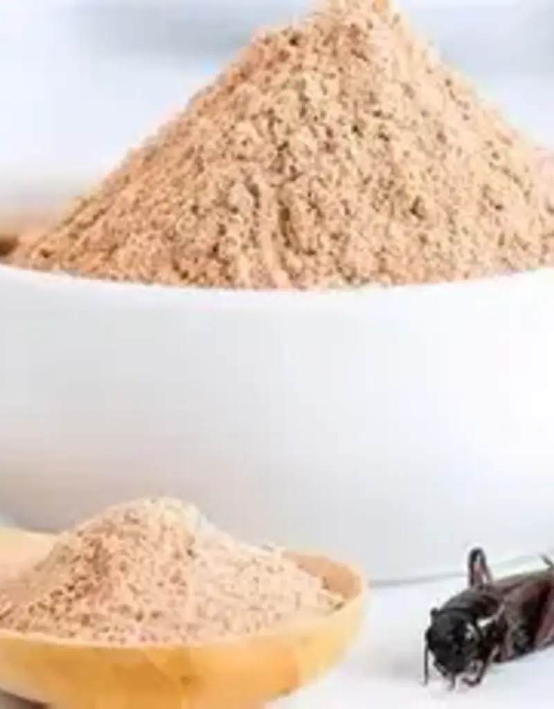 Bulk Foods & Chemicals Pet Central Limited Bulk - Cricket Food ( Layer food crushed)