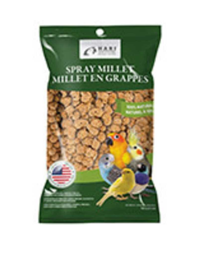 hari Hari Spray Millet - 100 g (3.5 oz)