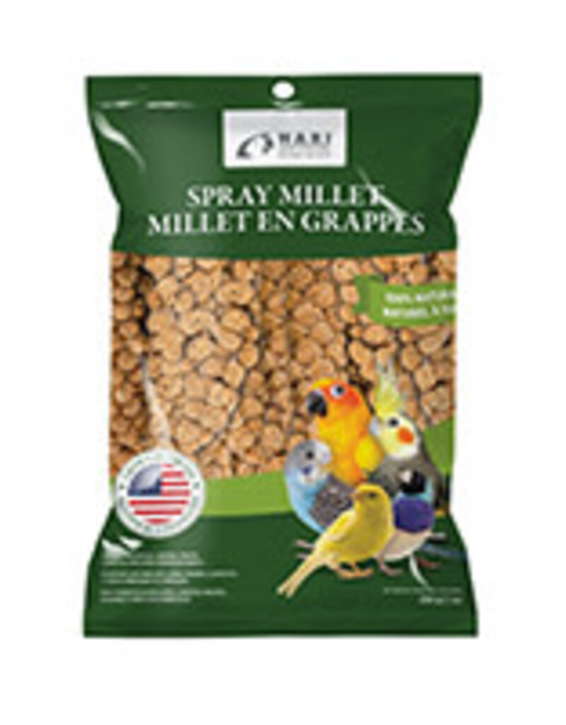 hari Hari Spray Millet - 200 g (7 oz)