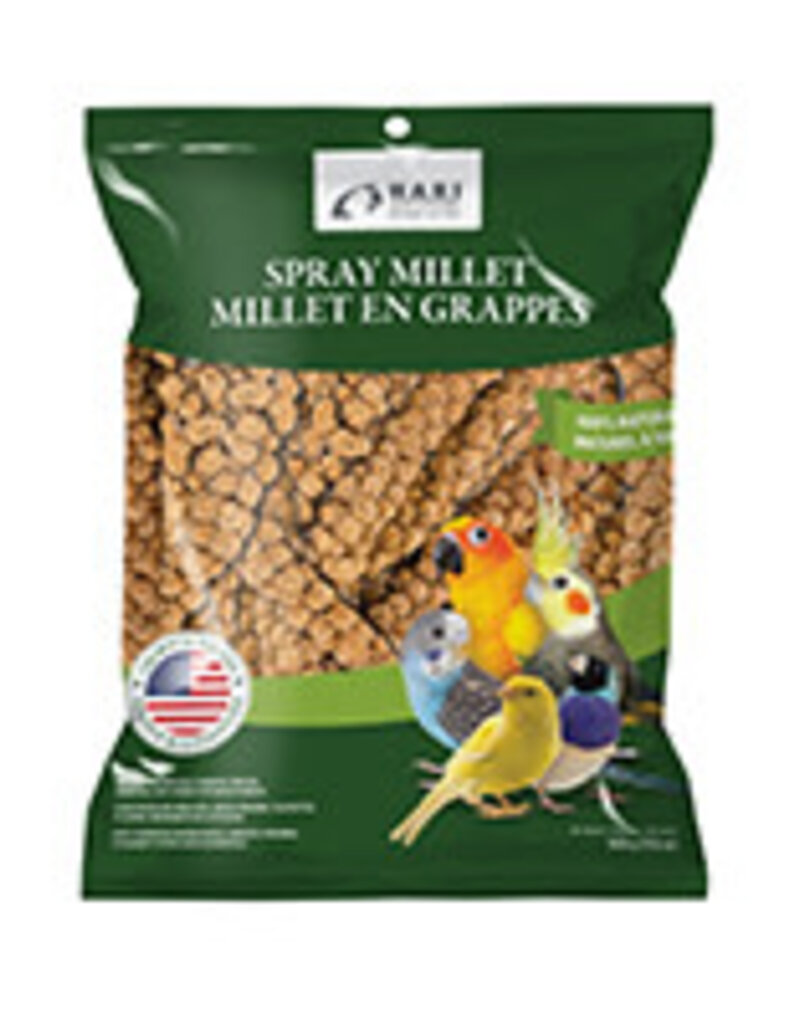 hari Hari Spray Millet - 500 g (17.6 oz)
