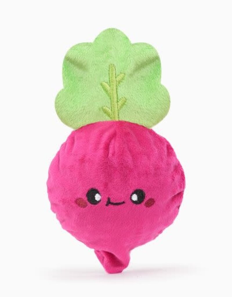 Hugsmart HugSmart Super Ball Puppy Garden - Radish