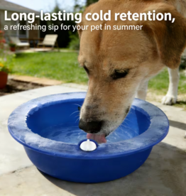 Temu Cooling Pet Bowl / Refillable Ice Bowl - Blue