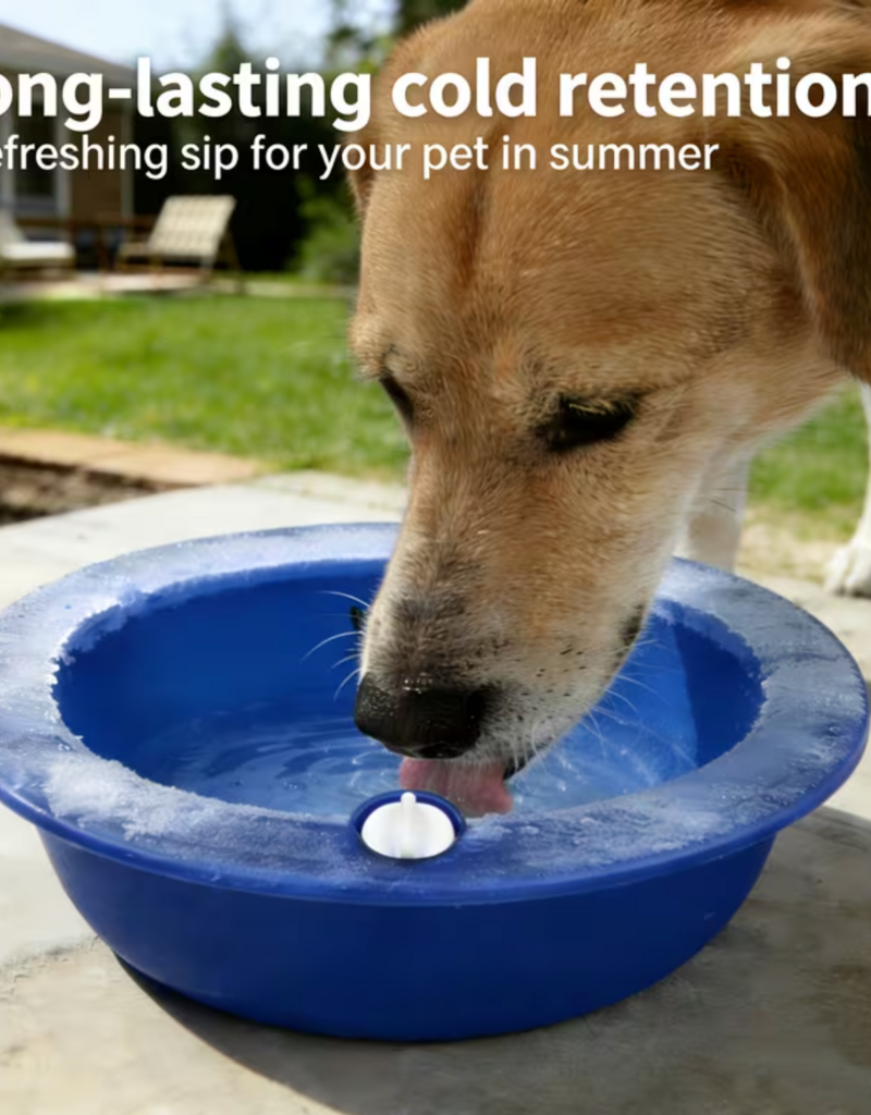 Temu Cooling Pet Bowl / Refillable Ice Bowl - Blue