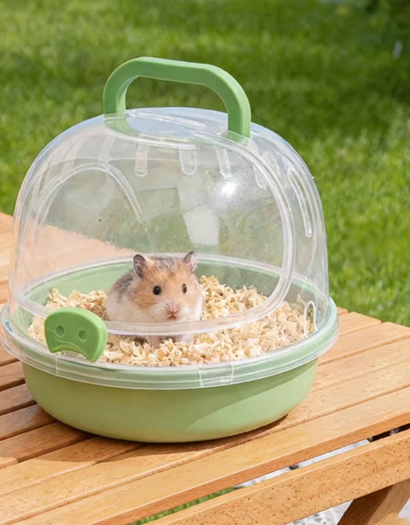 Temu Transparent Hamster Carrier - Green