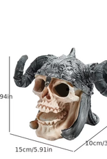 Temu Aquarium Ornament - Skull