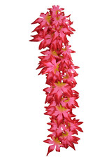 Reptile Treasure Reptile Treasures Leafy Red Plant - 24in