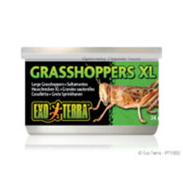 Exo Terra Exo Terra Canned Grasshoppers - XL - 34 g (1.2 oz)