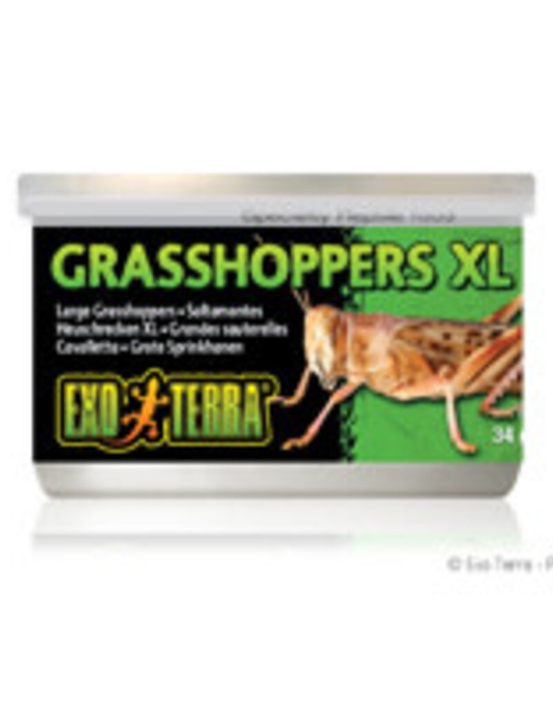 Exo Terra Exo Terra Canned Grasshoppers - XL - 34 g (1.2 oz)