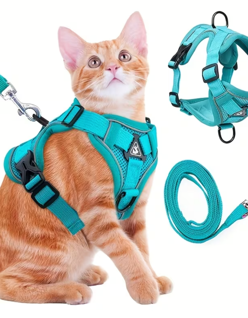 Temu Anti-Escape Adjustable Reflective Cat Harness with Leash - Teal - Medium