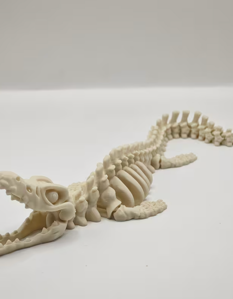 Temu Plesiosaurus Skeleton Aquarium Ornament 11in