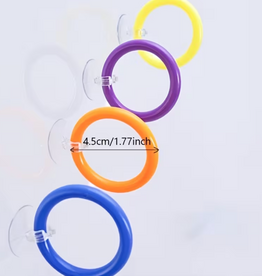Temu Bulk - Betta Ring with Suction Cup - Assorted Colours 1pc.