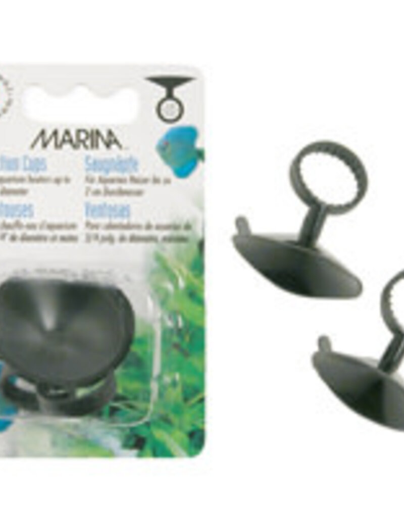 Marina Marina Thermometer Suction Cups - Medium