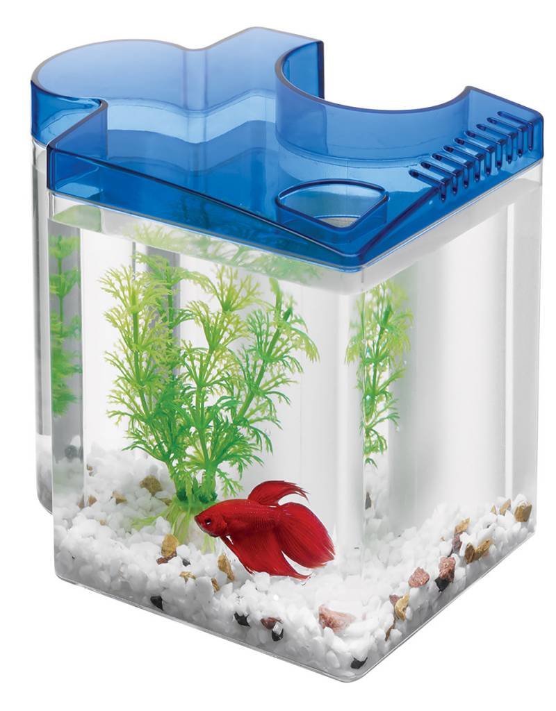Aqueon Aqueon Betta Puzzle Aquarium Kit - Blue