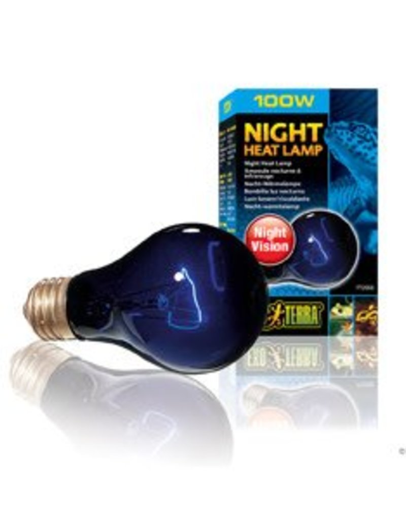 Exo Terra Exo Terra Night Heat Lamp - 100 W