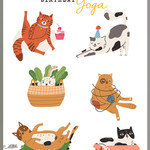 Calypso Cards Birthday Yoga Card