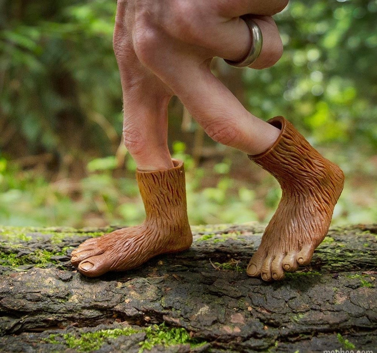 Bigfoot Big Feet Are S How
