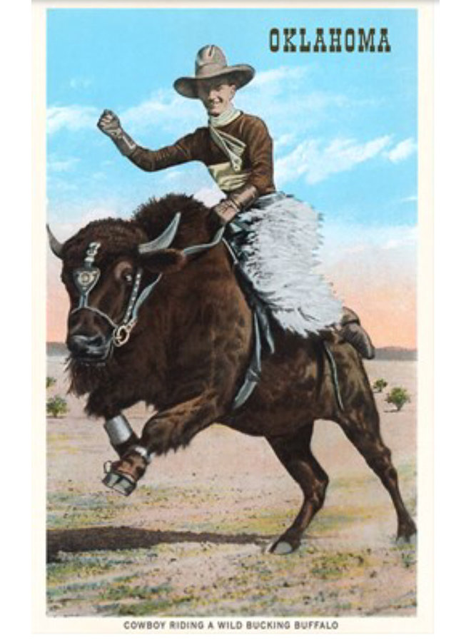 Cowboy Riding Buffalo Postcard