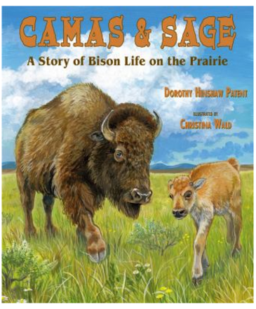 Mountain Press Publishing Bison Life Camas & Sage Book