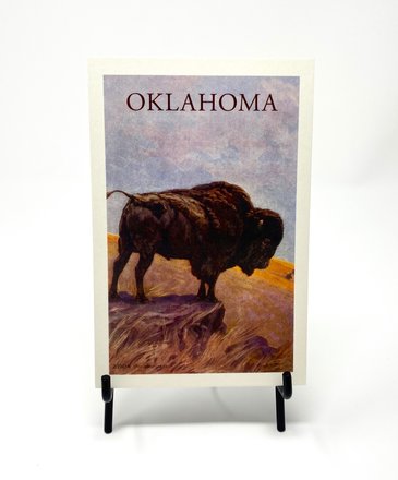 Found Image Press Bison Oklahoma Postcard