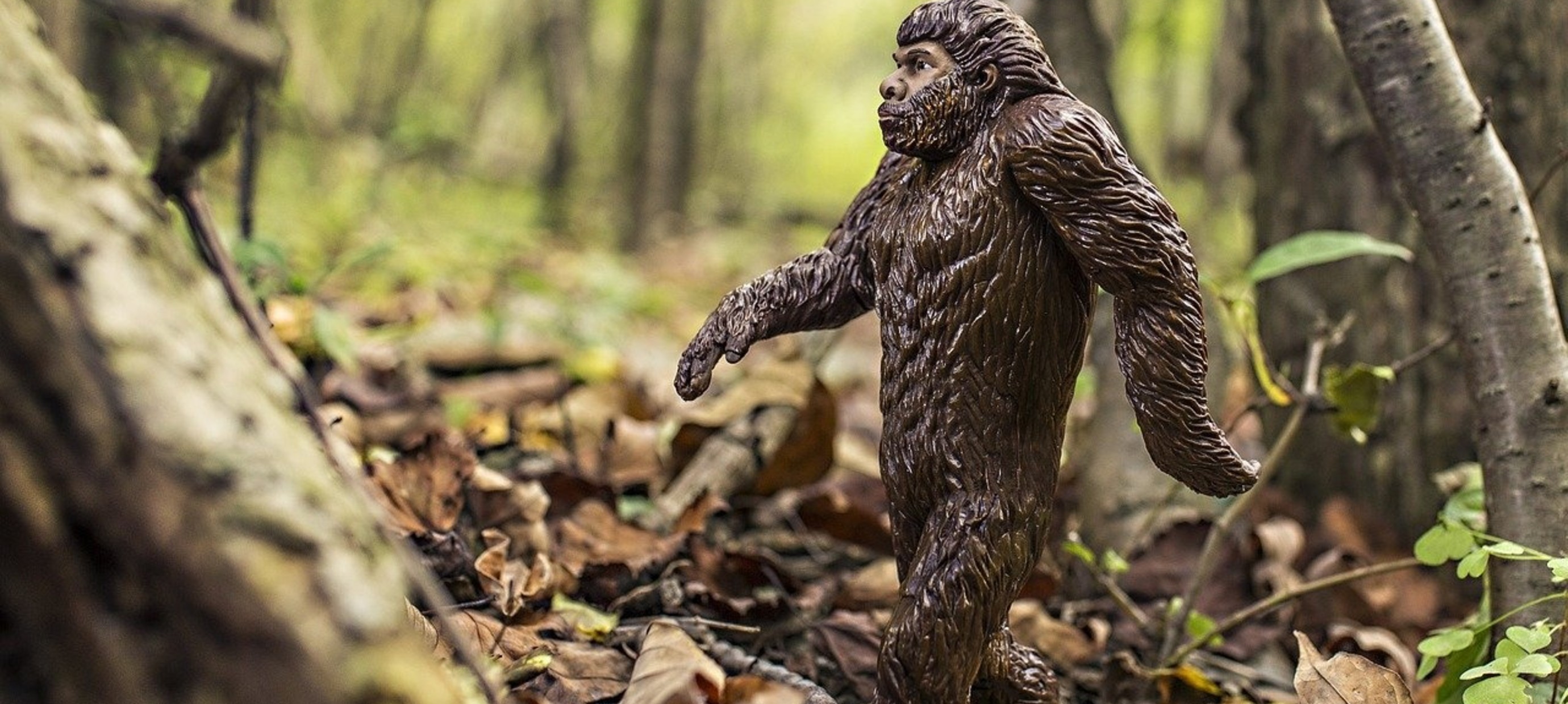The urban legend of Bigfoot in Oklahoma