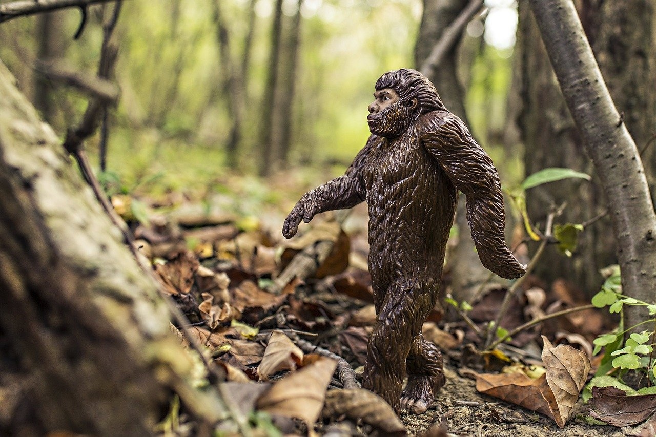 What Do We Know About Bigfoot?