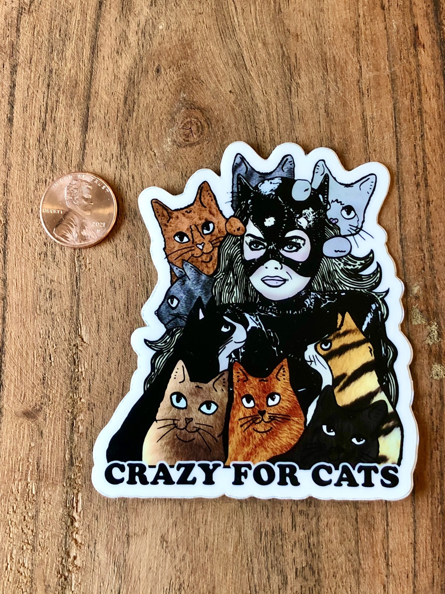 What's His Name Crazy for Cats Sticker