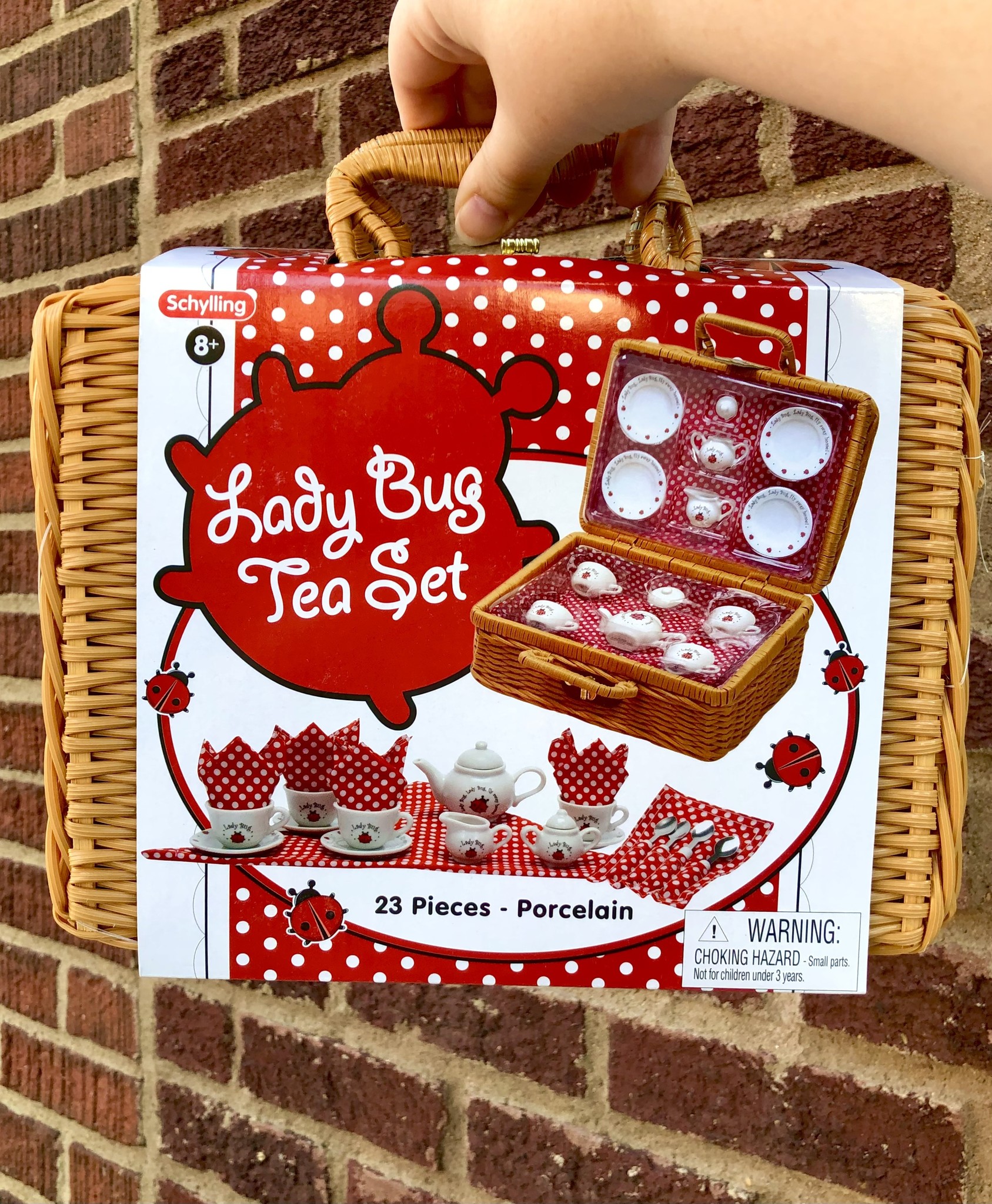 Ladybug Teaset Basket Ida Red General Store