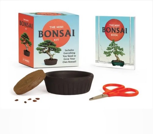 Hachette Book Group The Mini Bonsai Kit Format
