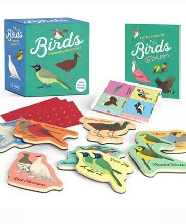 Hachette Book Group Birds: A Wooden Magnet Set