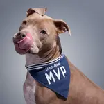 Hatchette Book Group The Real MVP Dog Bandana